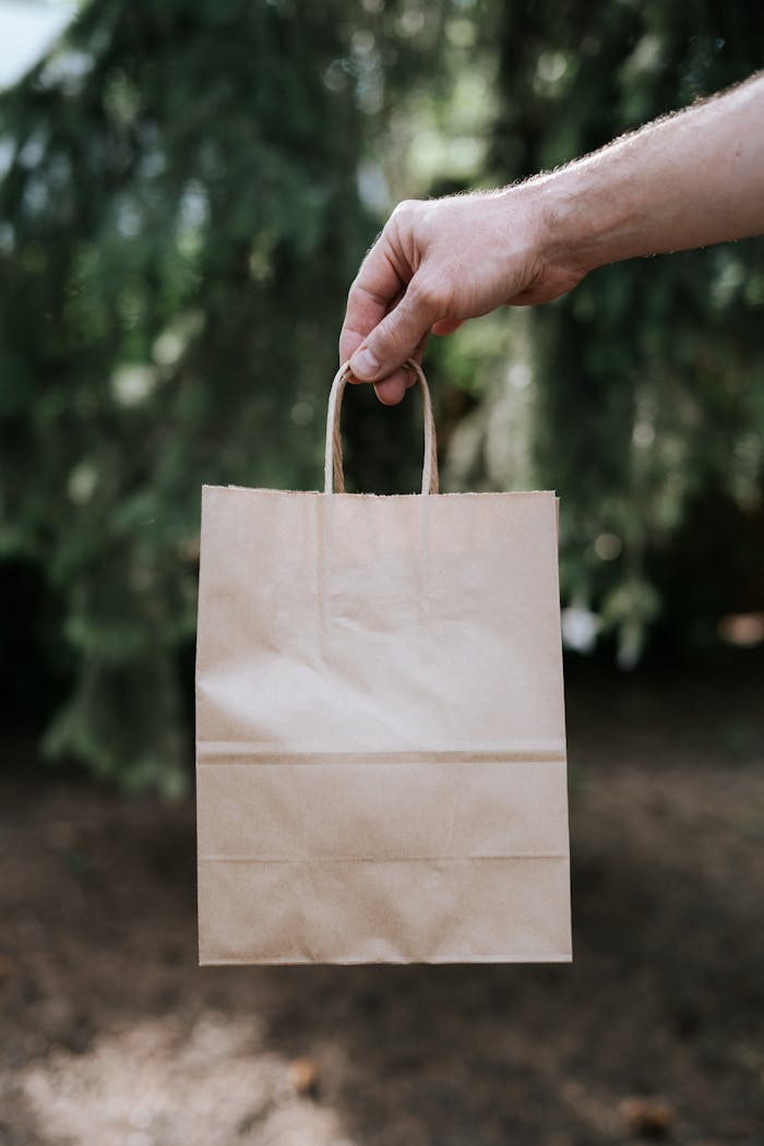 Close-up of a hand holding a paper bag against a blurred outdoor background.
